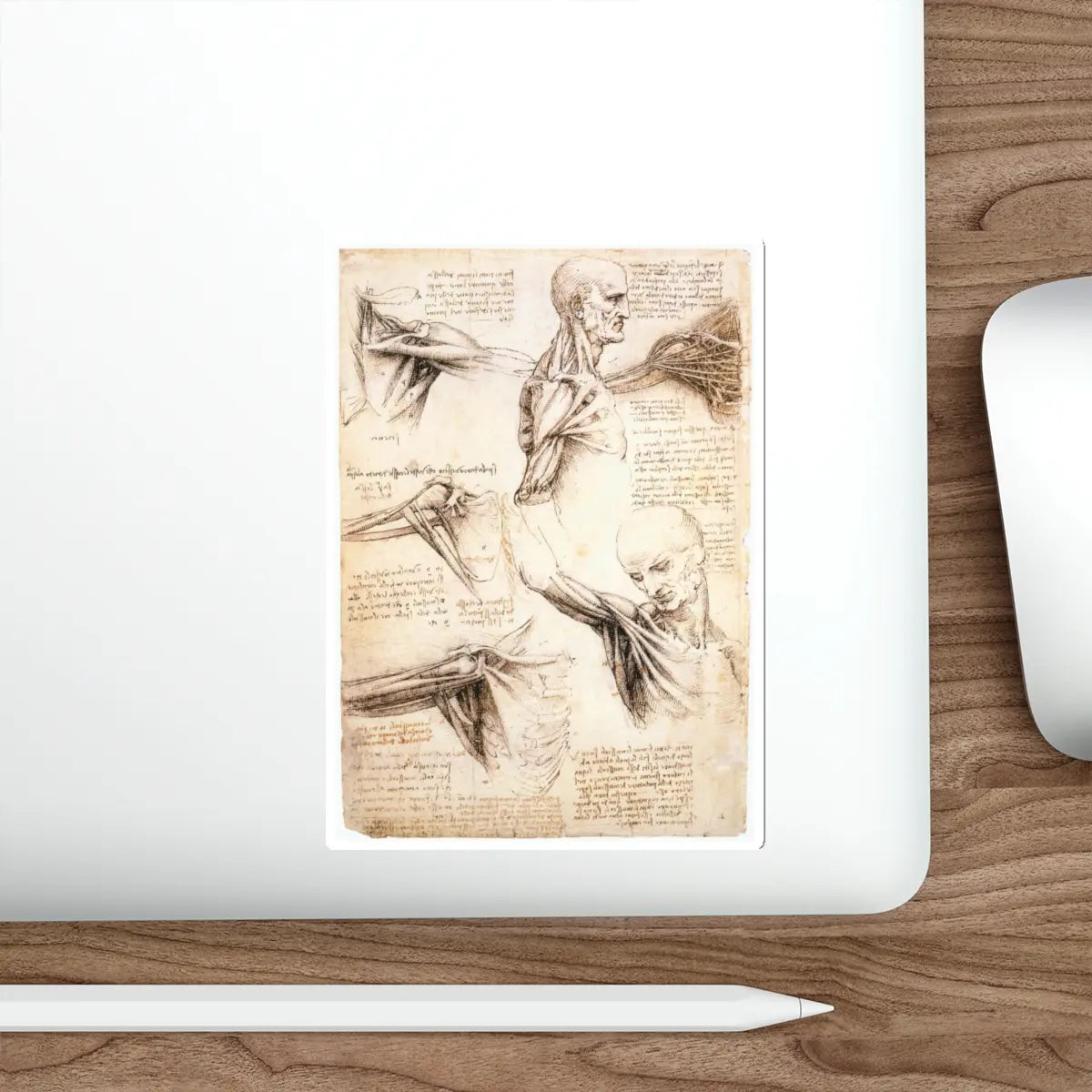SKU:16826641403440591205 Sticker types:White Shape:Die-Cut Sizes:5" × 5"
