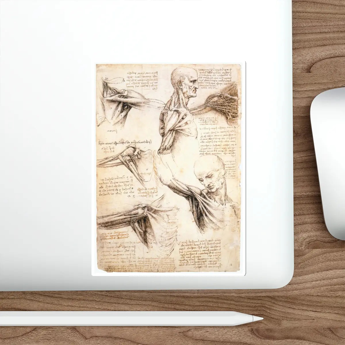 SKU:28413379423253327442 Sticker types:White Shape:Die-Cut Sizes:6" × 6"