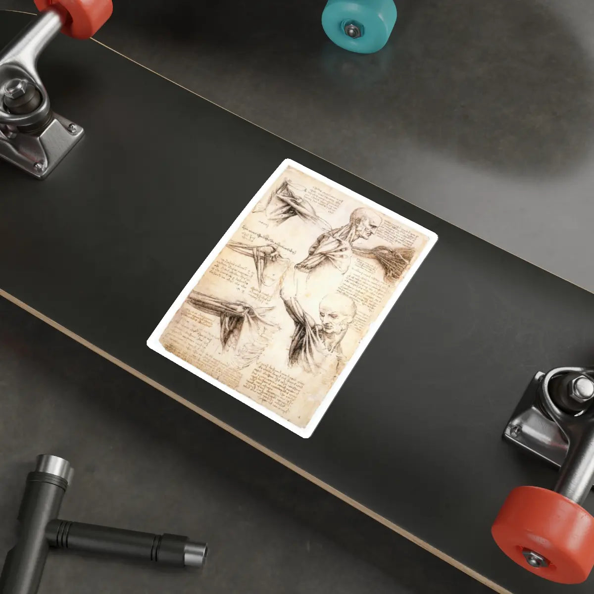 SKU:28413379423253327442 Sticker types:White Shape:Die-Cut Sizes:6" × 6"