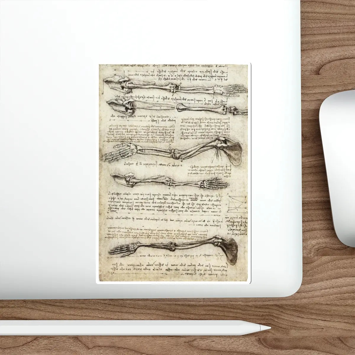 SKU:31591619458582628280 Sticker types:White Shape:Die-Cut Sizes:6" × 6"