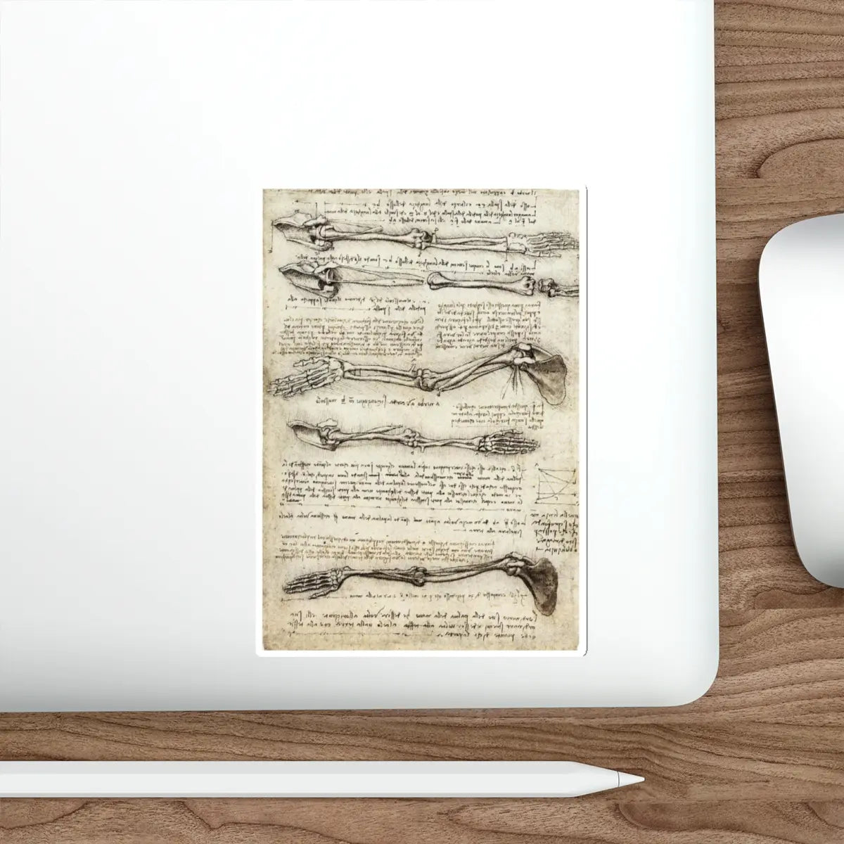 SKU:32848804770639354762 Sticker types:White Shape:Die-Cut Sizes:5" × 5"