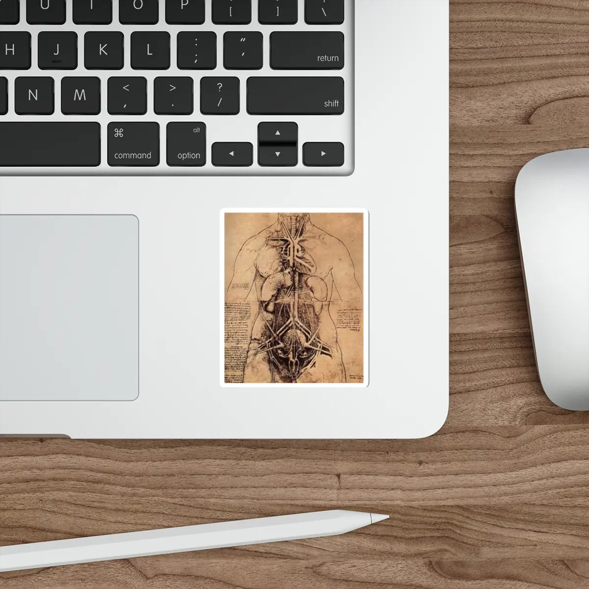 SKU:30594206828404946027 Sticker types:White Shape:Die-Cut Sizes:3" × 3"