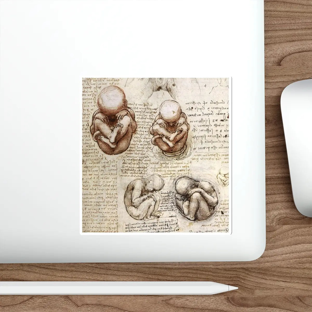 SKU:11826136376266091714 Sticker types:White Shape:Die-Cut Sizes:5" × 5"