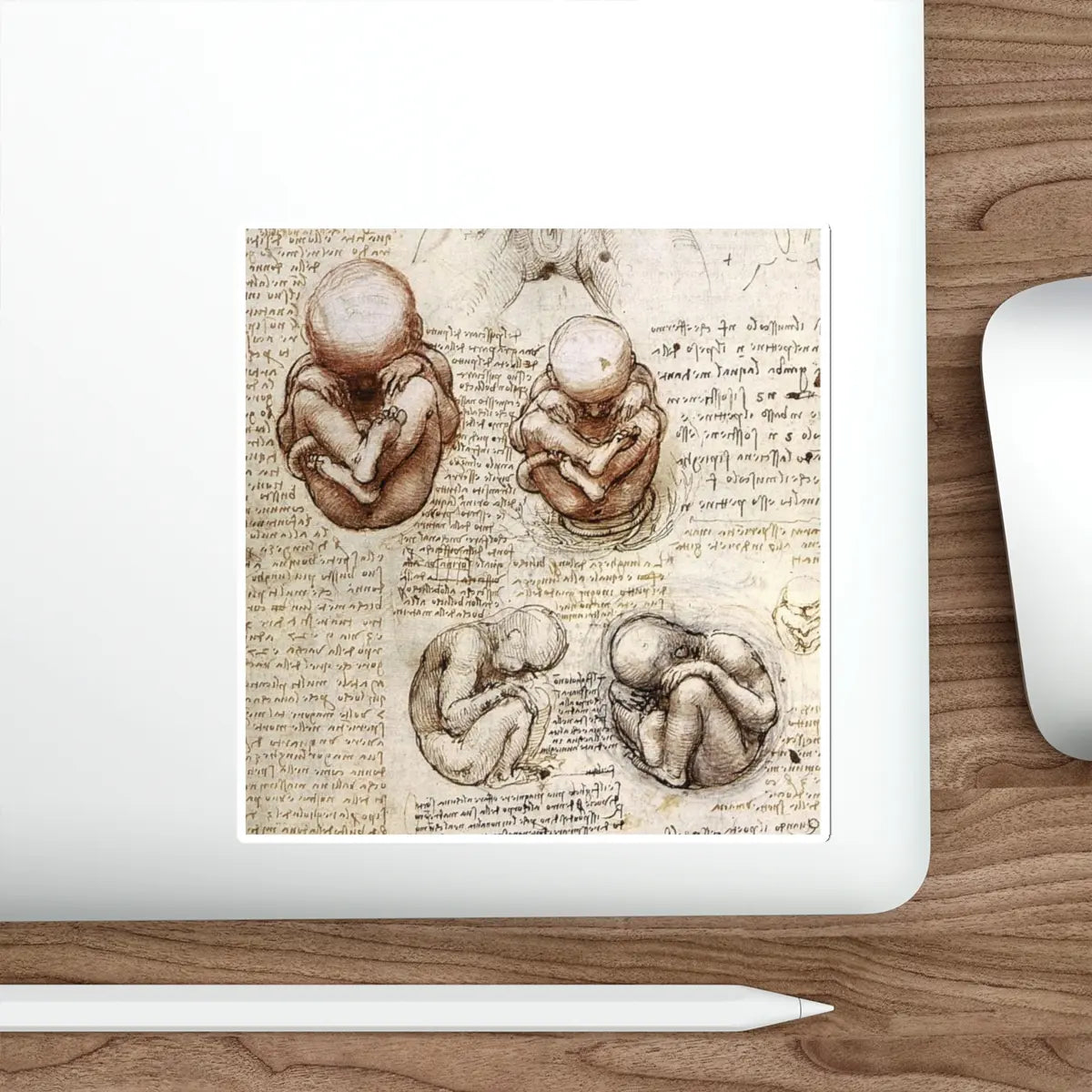SKU:15997336626024617748 Sticker types:White Shape:Die-Cut Sizes:6" × 6"