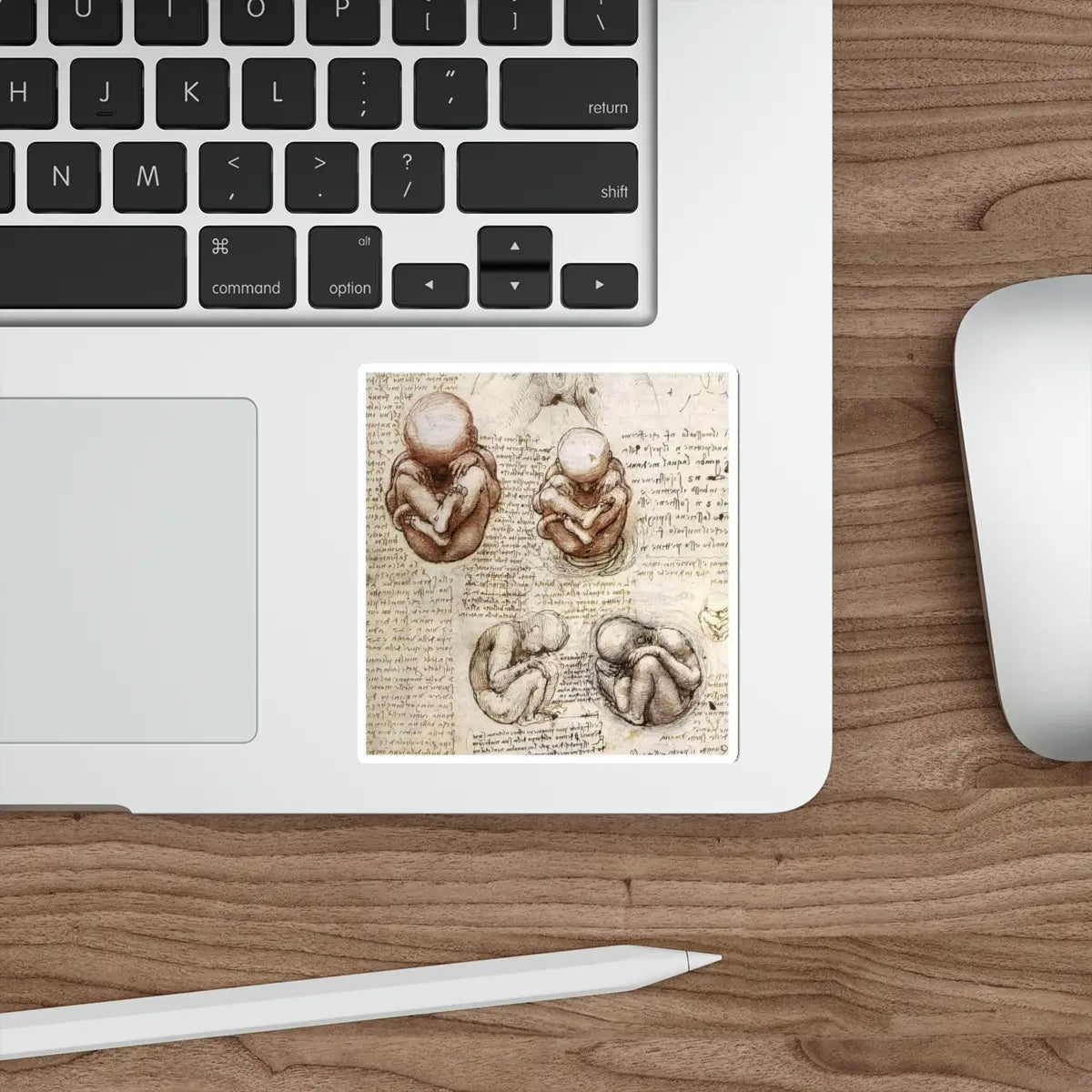 SKU:21525809421068566672 Sticker types:White Shape:Die-Cut Sizes:4" × 4"