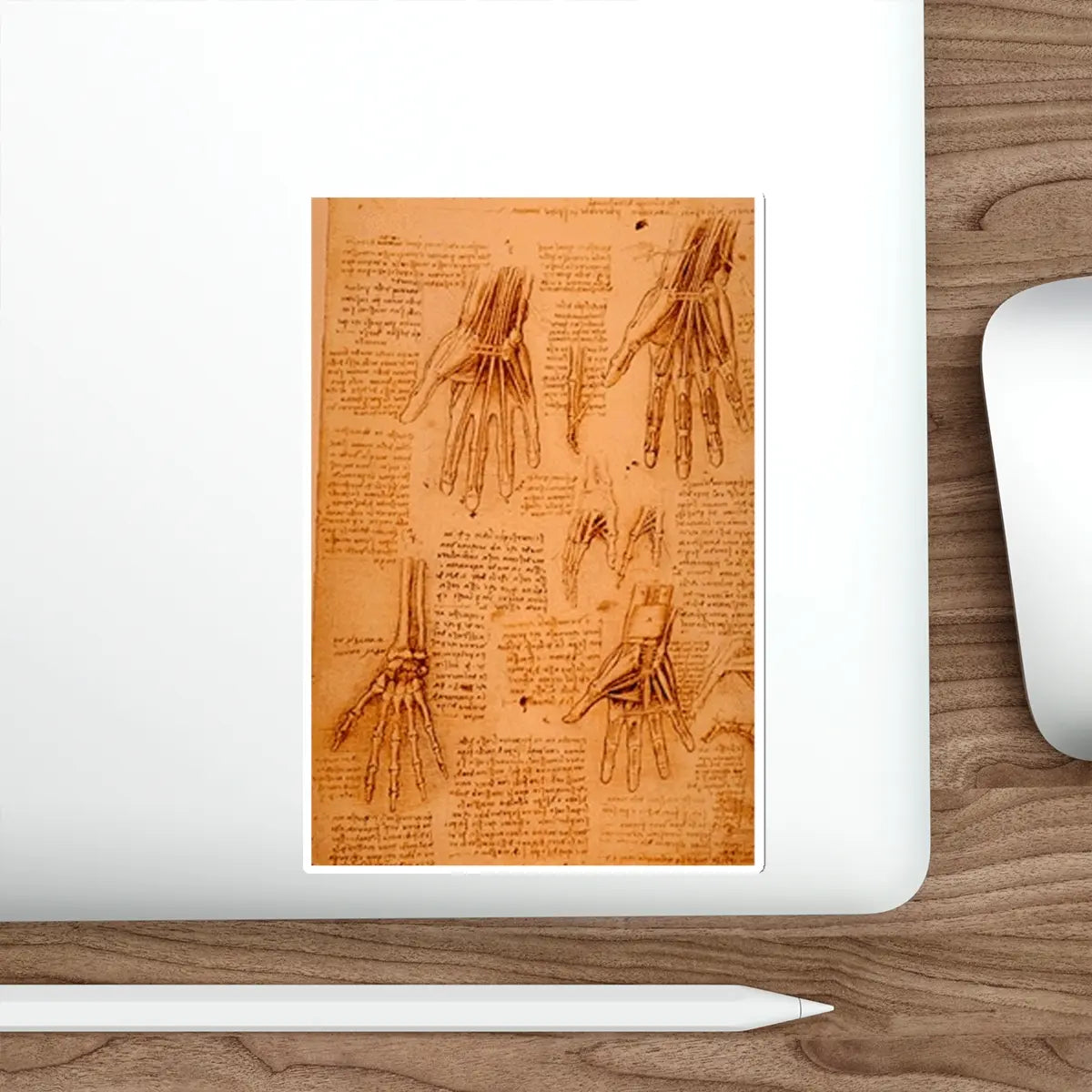 SKU:28152383016078211092 Sticker types:White Shape:Die-Cut Sizes:6" × 6"