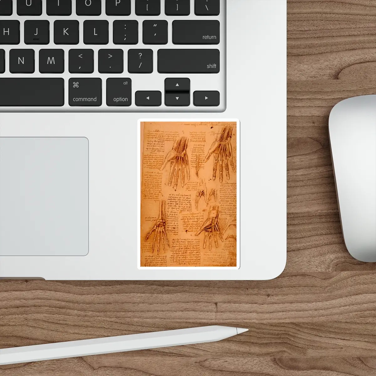 SKU:84197893770710781523 Sticker types:White Shape:Die-Cut Sizes:4" × 4"