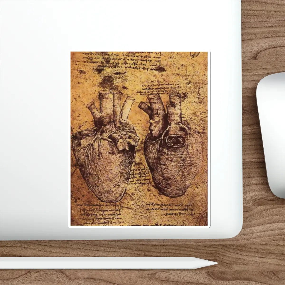 SKU:10025632782418475332 Sticker types:White Shape:Die-Cut Sizes:6" × 6"