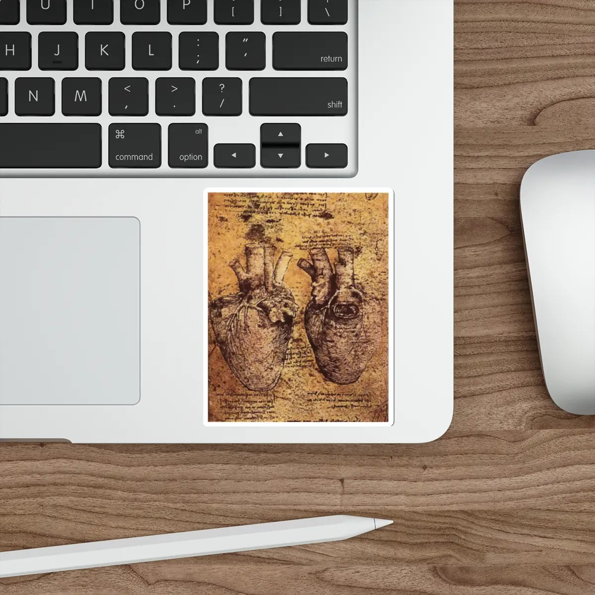 SKU:14336022645615166429 Sticker types:White Shape:Die-Cut Sizes:4" × 4"