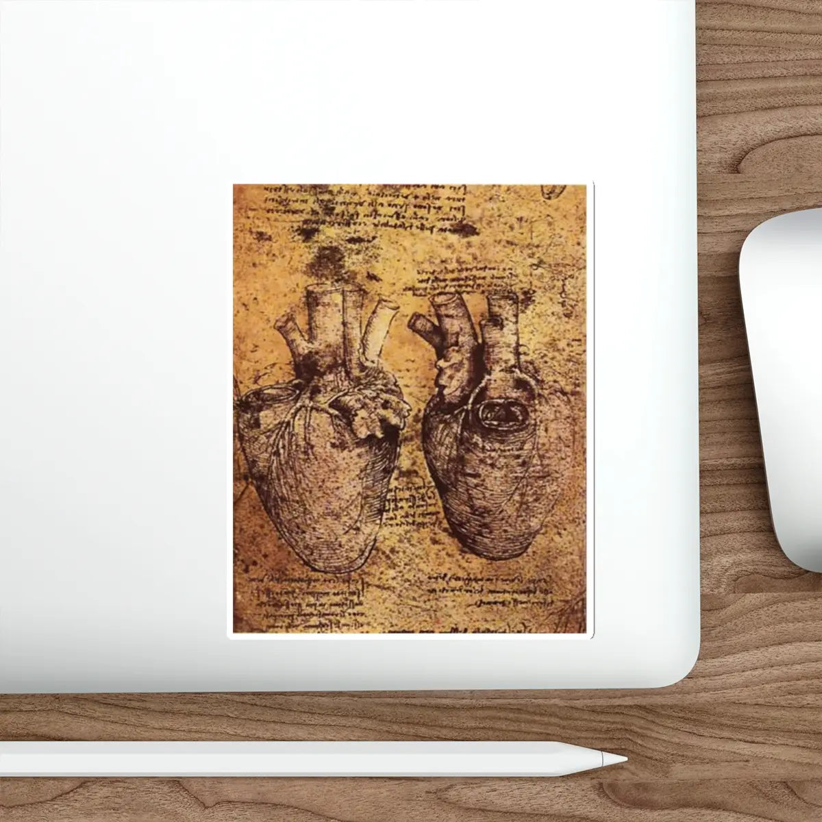 SKU:33338442032686507069 Sticker types:White Shape:Die-Cut Sizes:5" × 5"