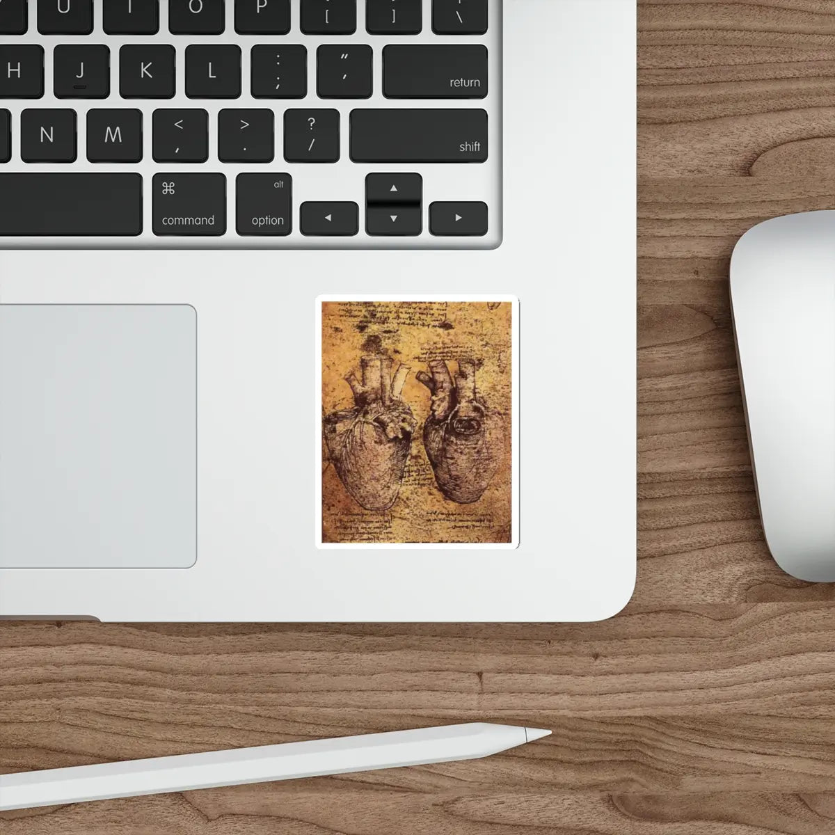 SKU:33964549466972509953 Sticker types:White Shape:Die-Cut Sizes:3" × 3"