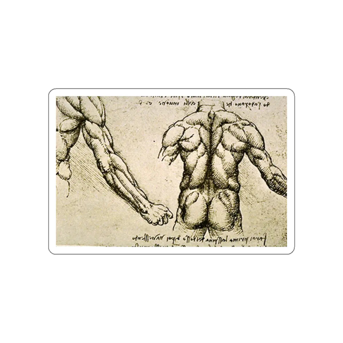 SKU:11584382346386820006 Sticker types:White Shape:Die-Cut Sizes:5" × 5"