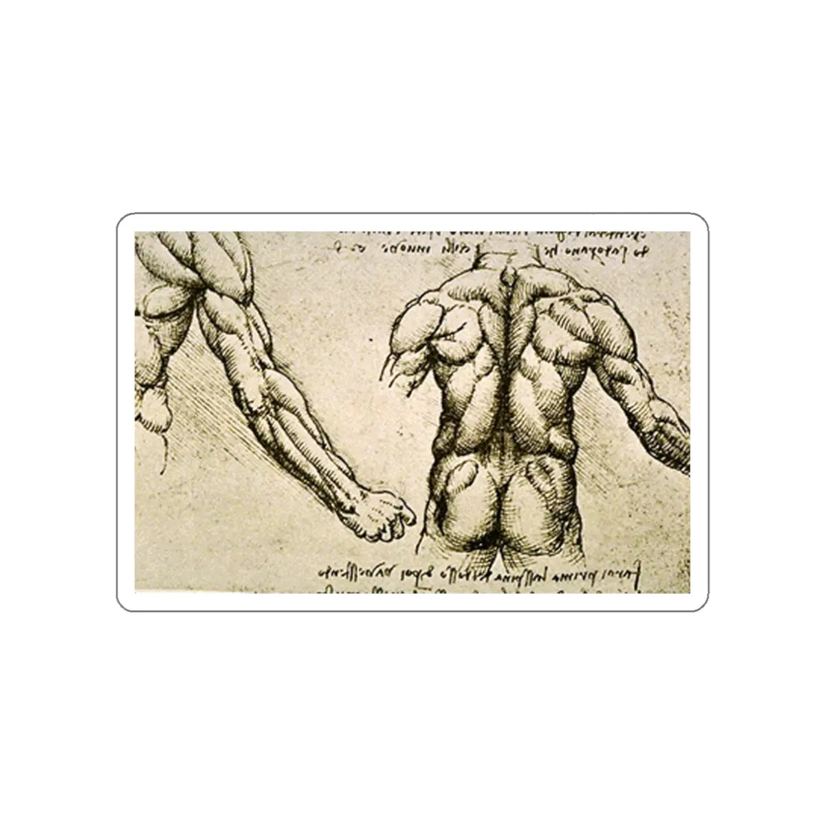 SKU:27761134168800553936 Sticker types:White Shape:Die-Cut Sizes:3" × 3"
