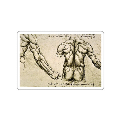 SKU:27761134168800553936 Sticker types:White Shape:Die-Cut Sizes:3" × 3"
