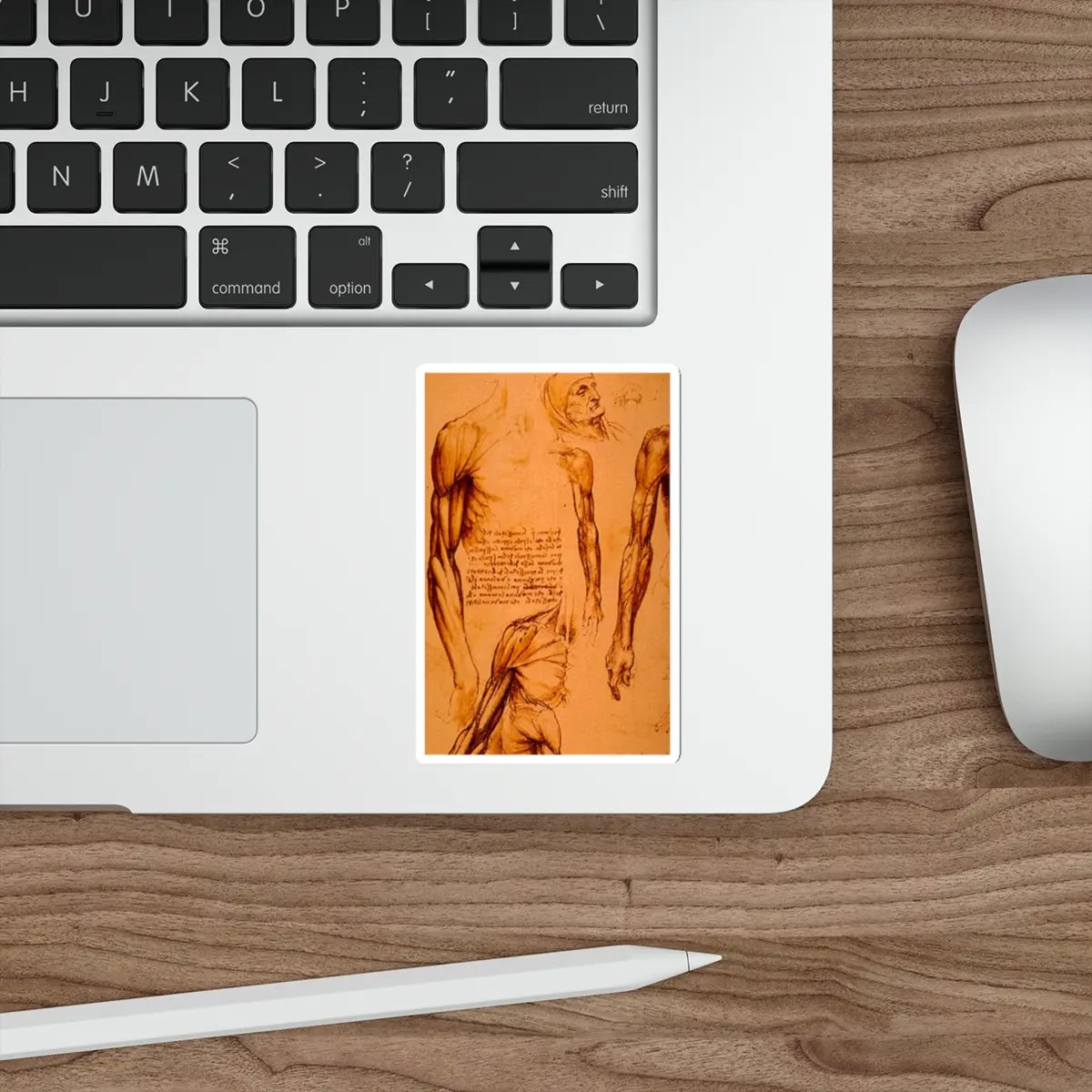 SKU:10686389152774122085 Sticker types:White Shape:Die-Cut Sizes:4" × 4"