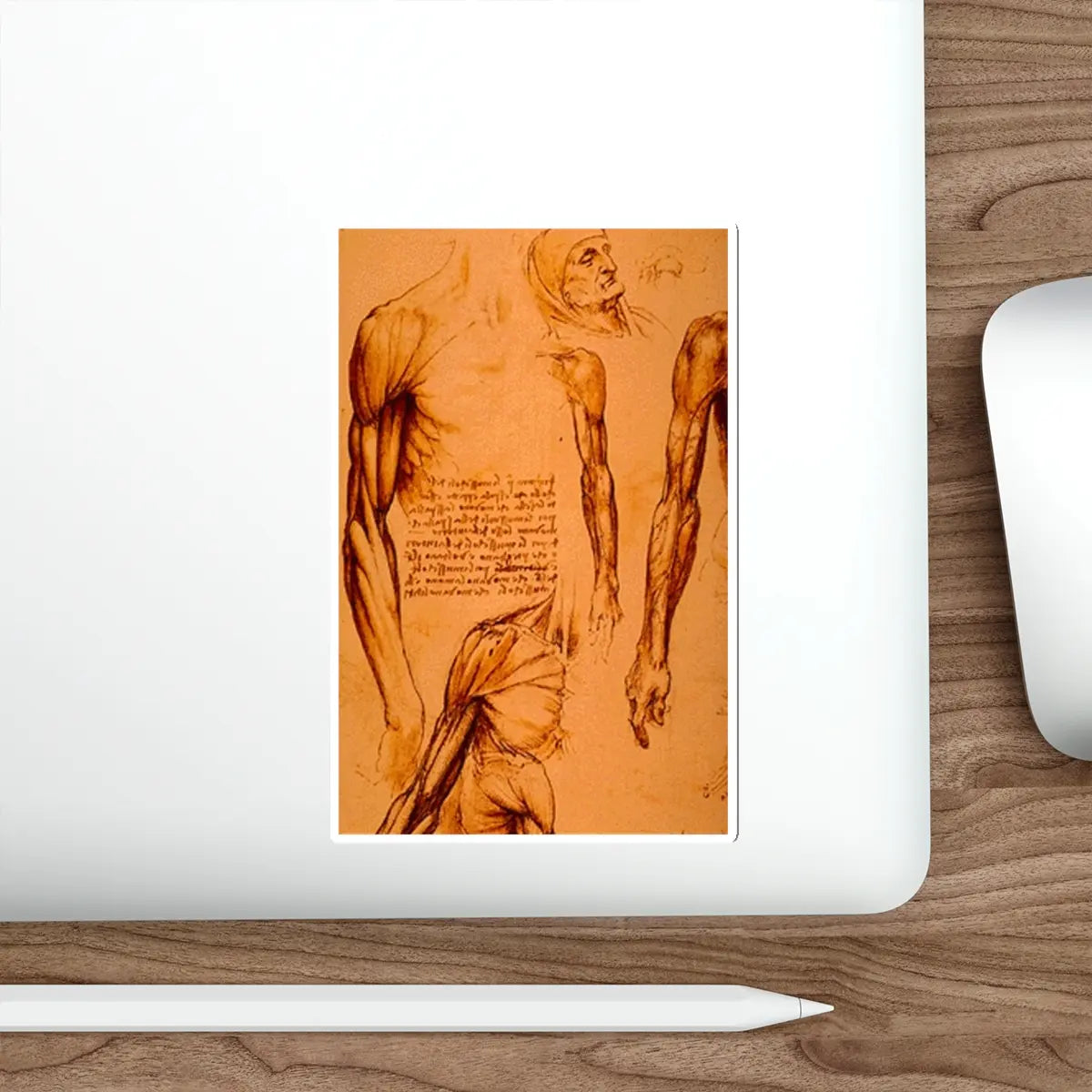 SKU:25585264692059986015 Sticker types:White Shape:Die-Cut Sizes:6" × 6"