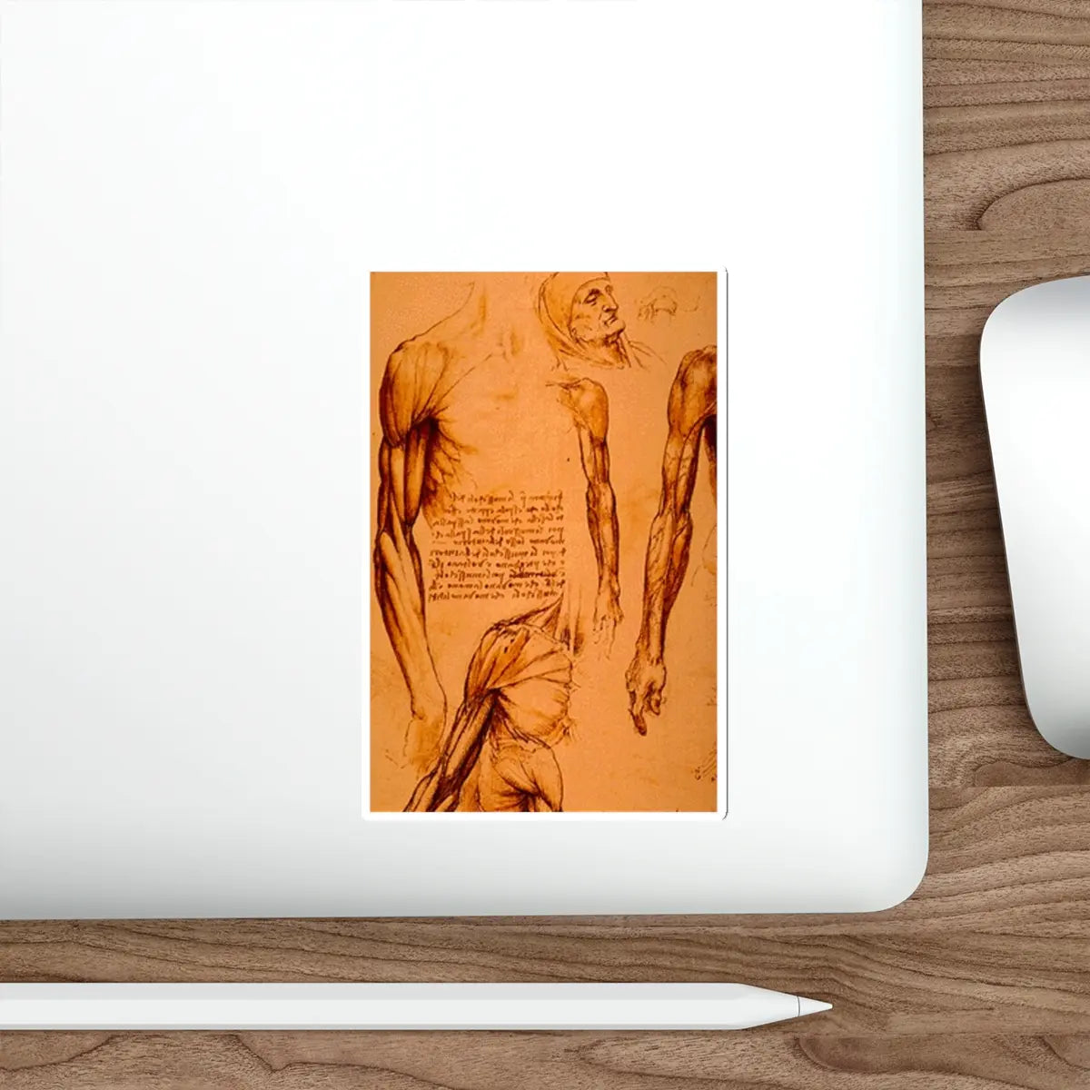 SKU:33924362409234290178 Sticker types:White Shape:Die-Cut Sizes:5" × 5"