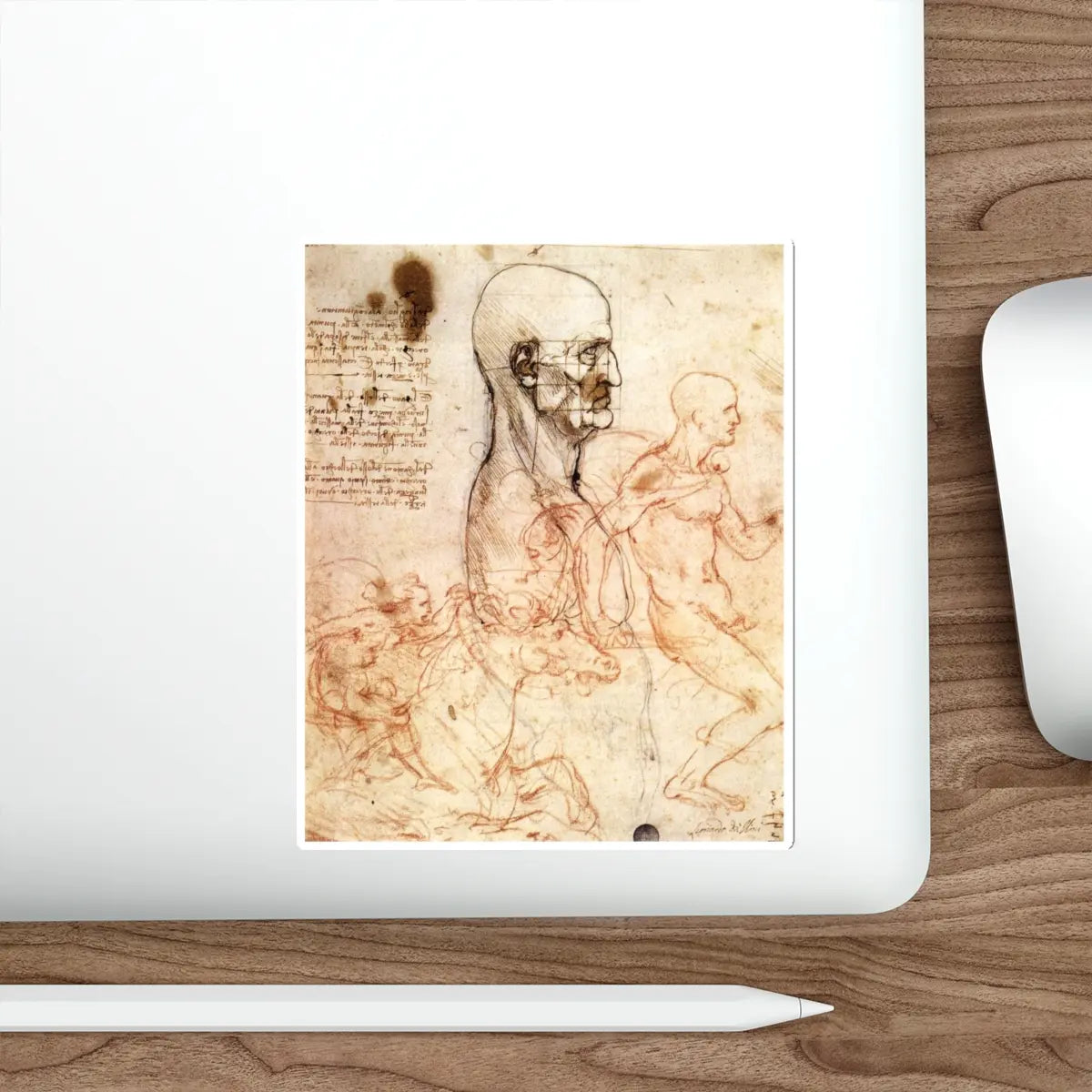 SKU:69206546253904644014 Sticker types:White Shape:Die-Cut Sizes:5" × 5"