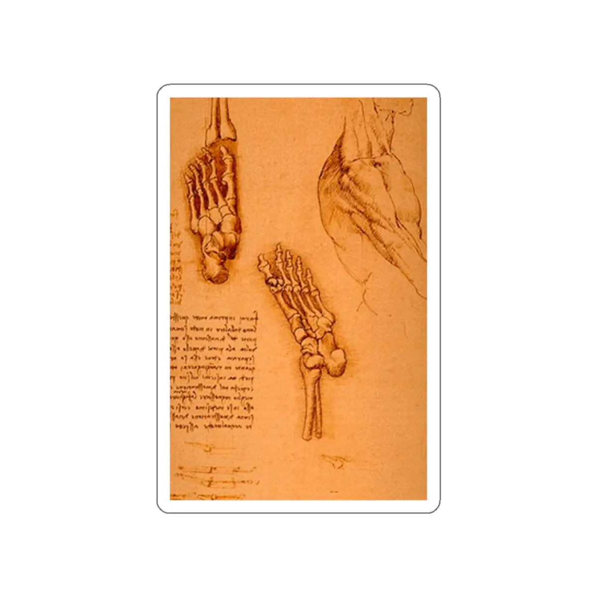 SKU:14786610514429612443 Sticker types:White Shape:Die-Cut Sizes:2" × 2"