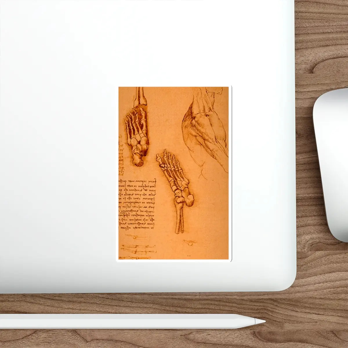 SKU:27718474193421671252 Sticker types:White Shape:Die-Cut Sizes:5" × 5"