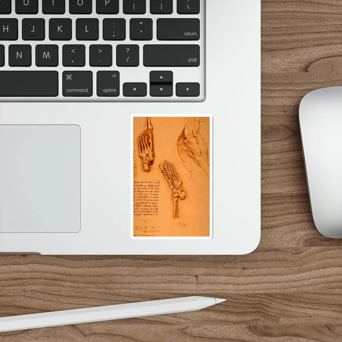 SKU:30525998442472447530 Sticker types:White Shape:Die-Cut Sizes:4" × 4"