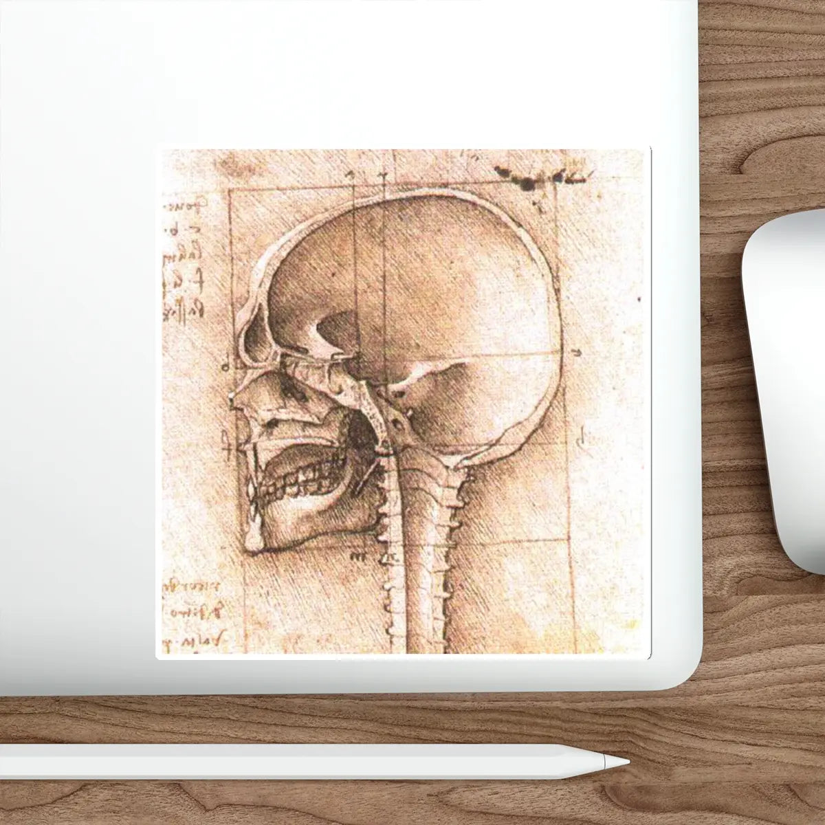 SKU:27059397175209221299 Sticker types:White Shape:Die-Cut Sizes:6" × 6"