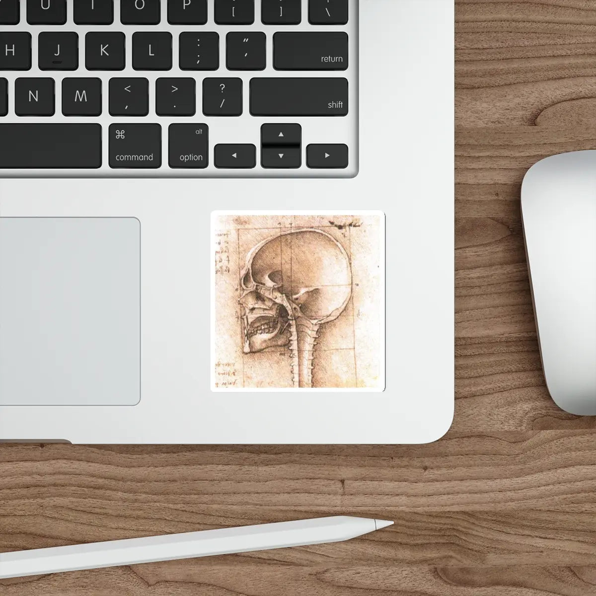 SKU:28050554625346313791 Sticker types:White Shape:Die-Cut Sizes:3" × 3"