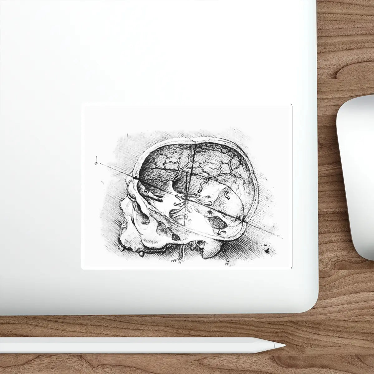SKU:33585721766708180817 Sticker types:White Shape:Die-Cut Sizes:5" × 5"