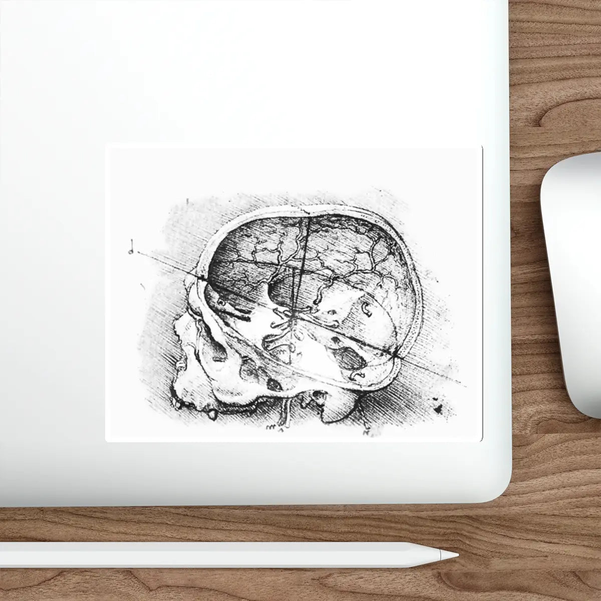 SKU:33755291207940830679 Sticker types:White Shape:Die-Cut Sizes:6" × 6"