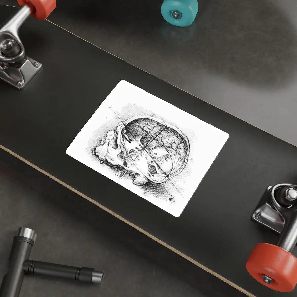 SKU:33755291207940830679 Sticker types:White Shape:Die-Cut Sizes:6" × 6"