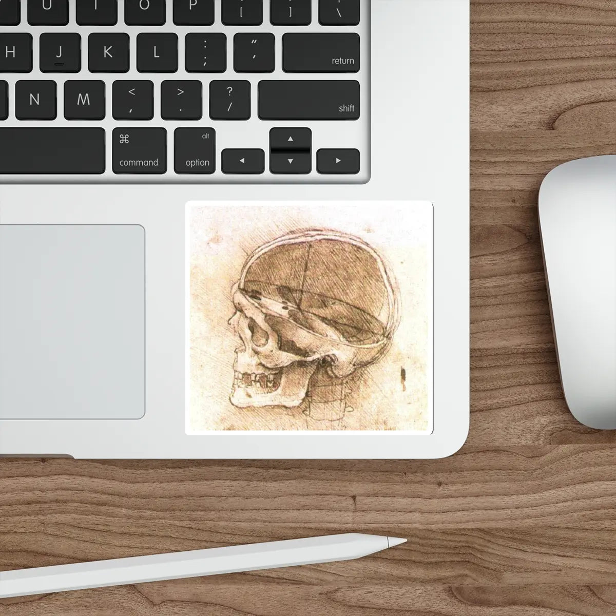 SKU:52603285755889052371 Sticker types:White Shape:Die-Cut Sizes:4" × 4"