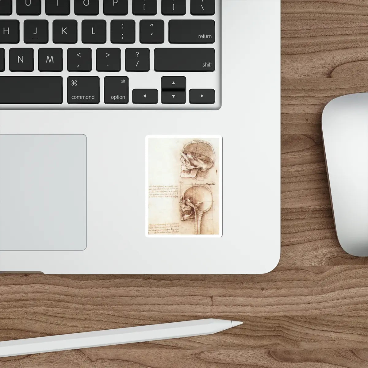 SKU:12984752635996381555 Sticker types:White Shape:Die-Cut Sizes:3" × 3"