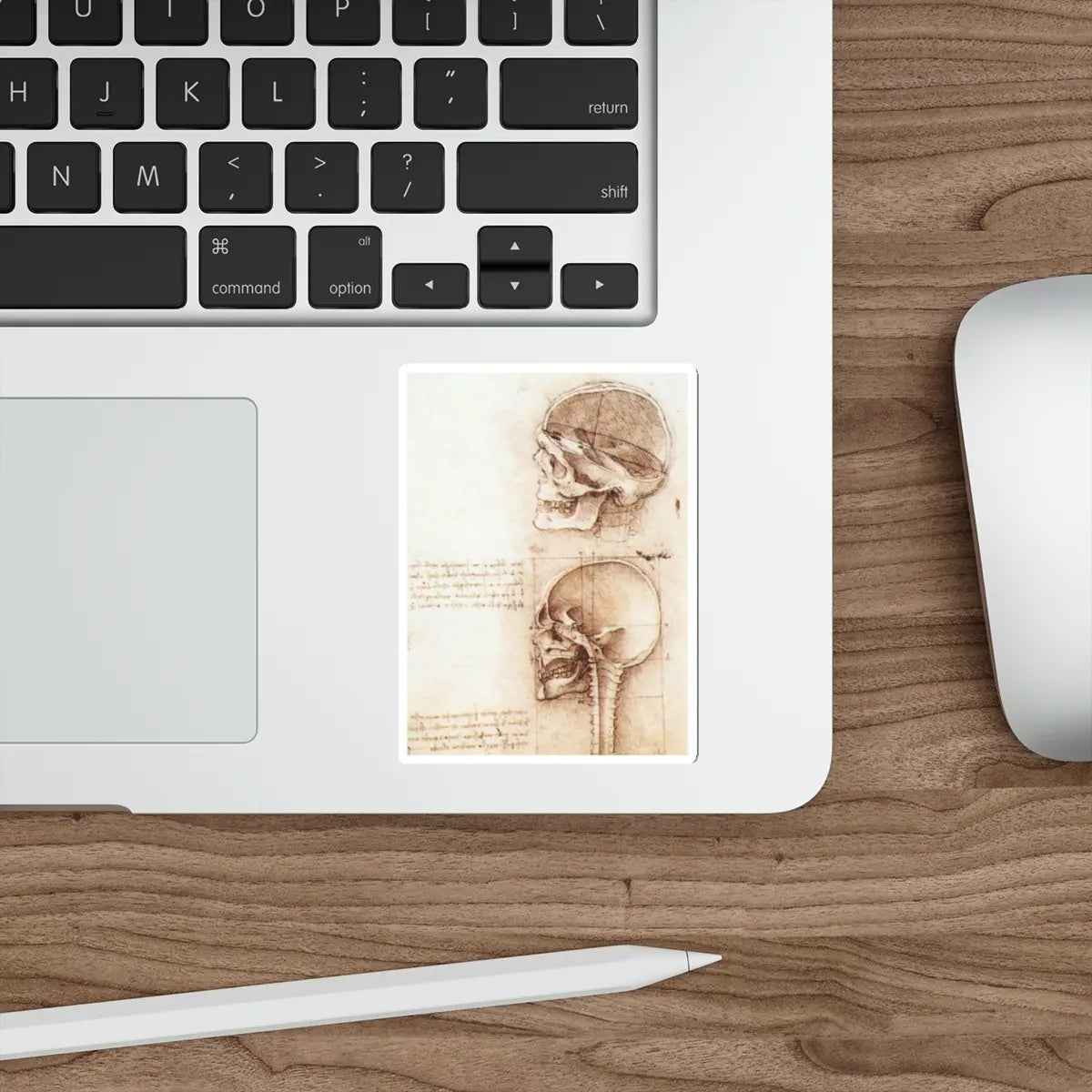 SKU:14752301291354728815 Sticker types:White Shape:Die-Cut Sizes:4" × 4"