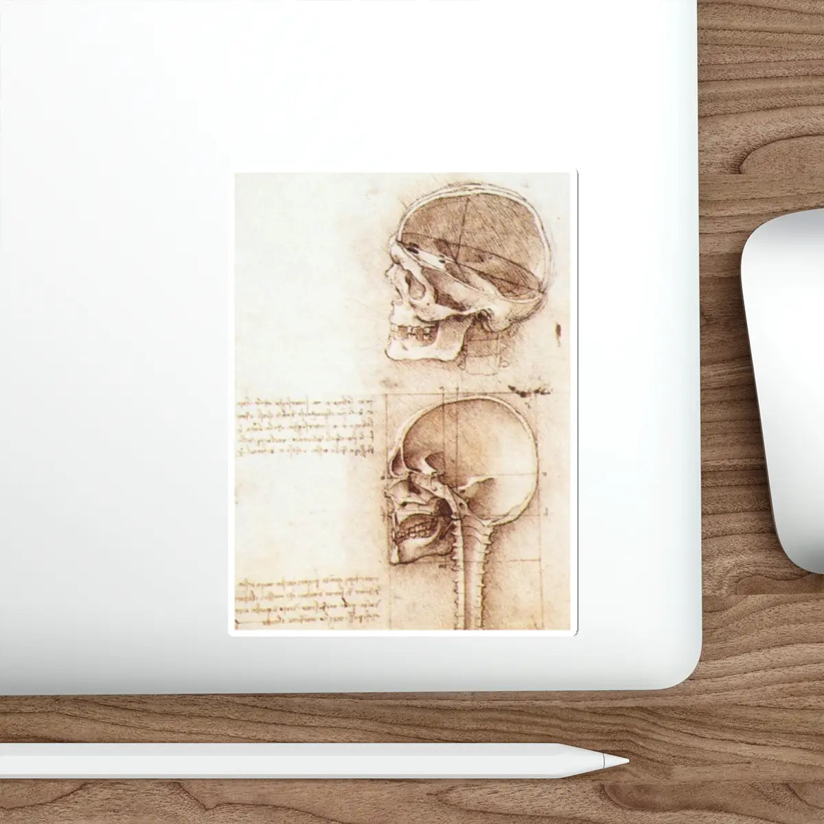 SKU:26570670370793352815 Sticker types:White Shape:Die-Cut Sizes:6" × 6"