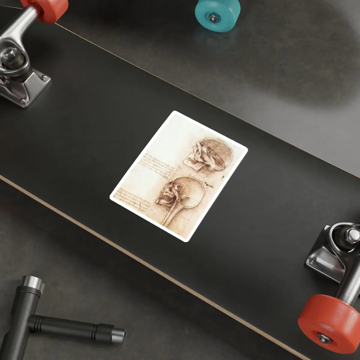 SKU:31861312663112908170 Sticker types:White Shape:Die-Cut Sizes:5" × 5"