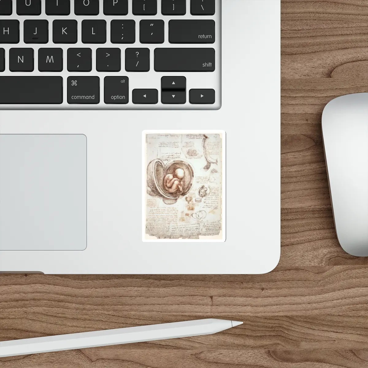 SKU:28699319480180356060 Sticker types:White Shape:Die-Cut Sizes:3" × 3"