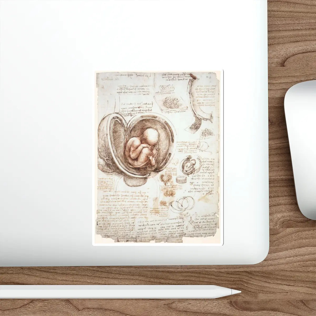 SKU:33854253061190085804 Sticker types:White Shape:Die-Cut Sizes:5" × 5"