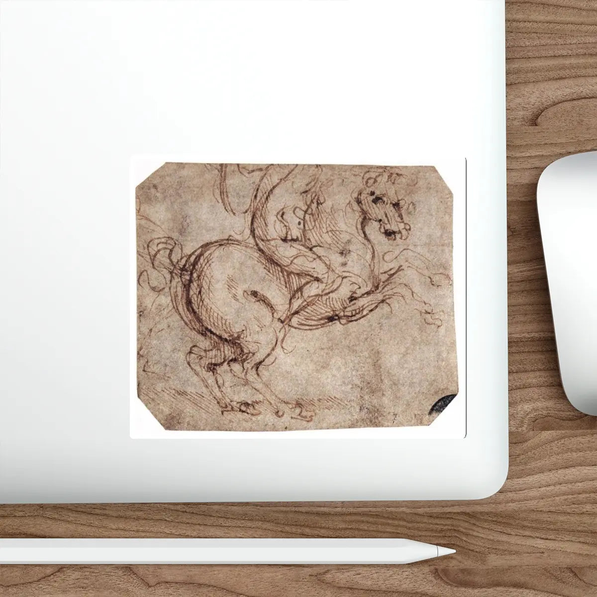 SKU:90141906835347003909 Sticker types:White Shape:Die-Cut Sizes:5" × 5"