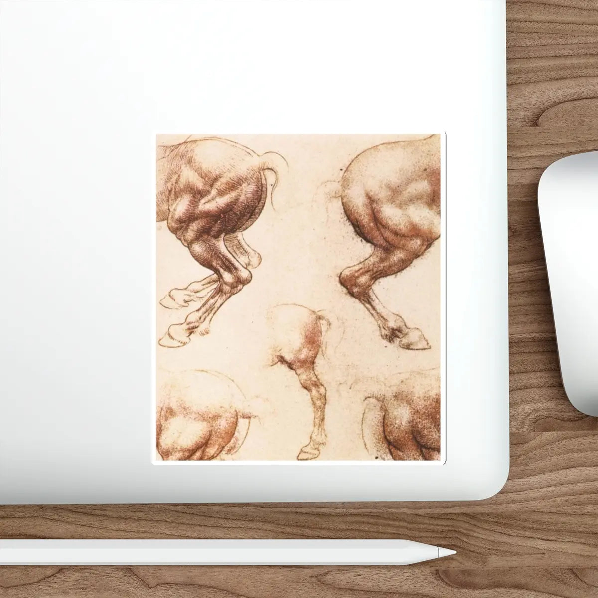 SKU:17381385980155495665 Sticker types:White Shape:Die-Cut Sizes:5" × 5"