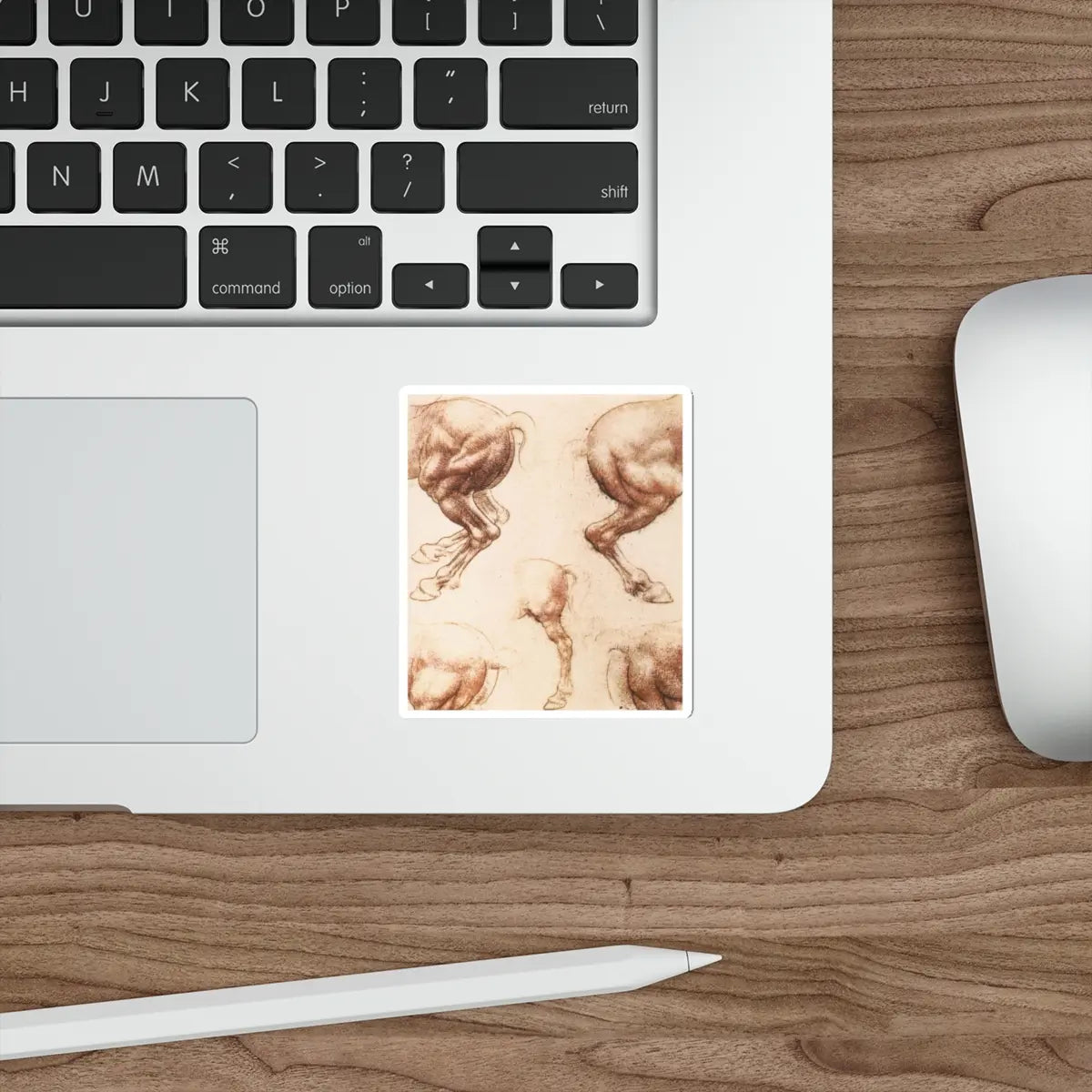 SKU:24635567666566808385 Sticker types:White Shape:Die-Cut Sizes:3" × 3"