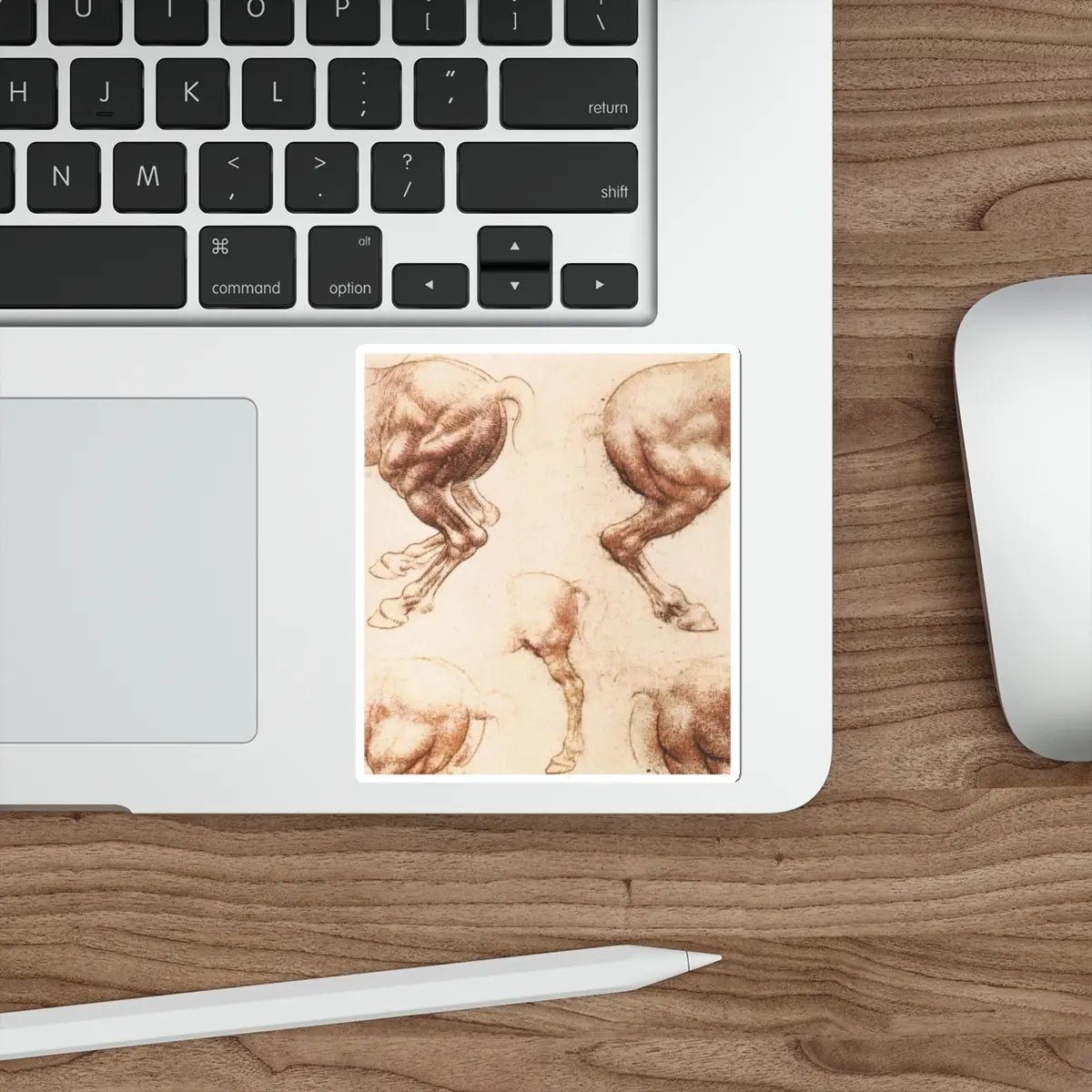 SKU:48746082051708359939 Sticker types:White Shape:Die-Cut Sizes:4" × 4"