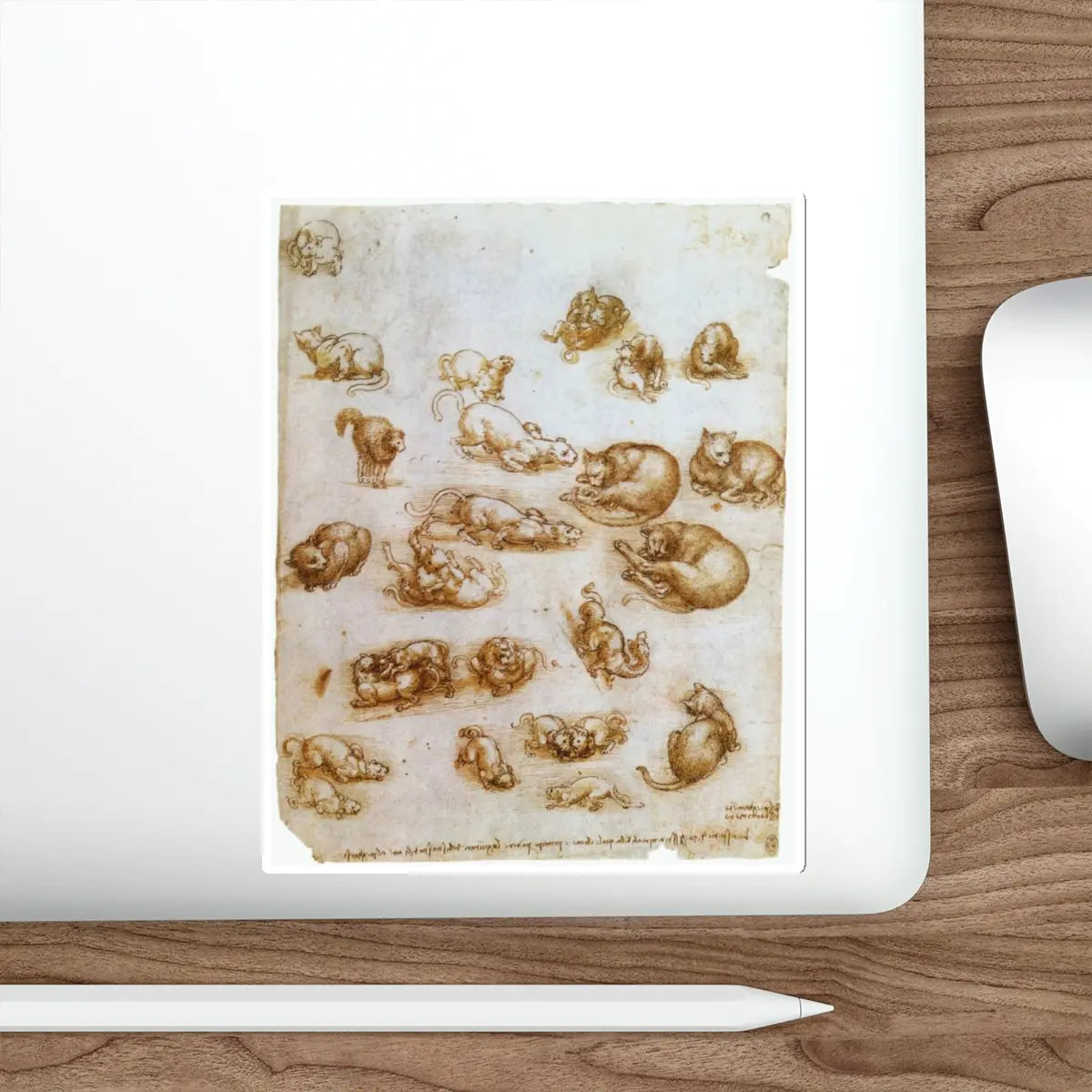 SKU:11430127333870771685 Sticker types:White Shape:Die-Cut Sizes:6" × 6"
