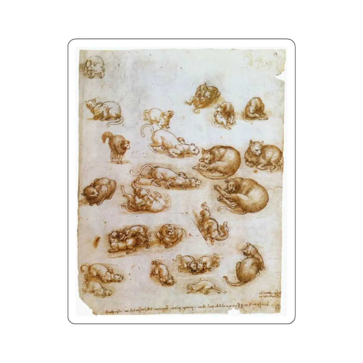 SKU:51559203362514996700 Sticker types:White Shape:Die-Cut Sizes:4" × 4"