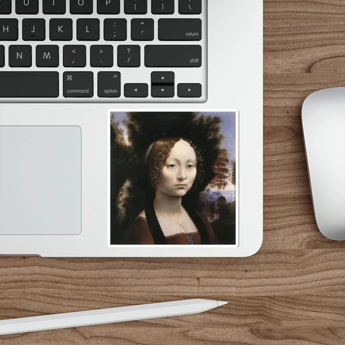 SKU:14236881583919107621 Sticker types:White Shape:Die-Cut Sizes:4" × 4"