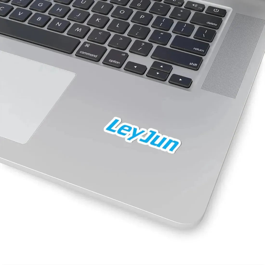 LeyJun (Logo) STICKER Vinyl Kiss-Cut Decal - The Sticker Space