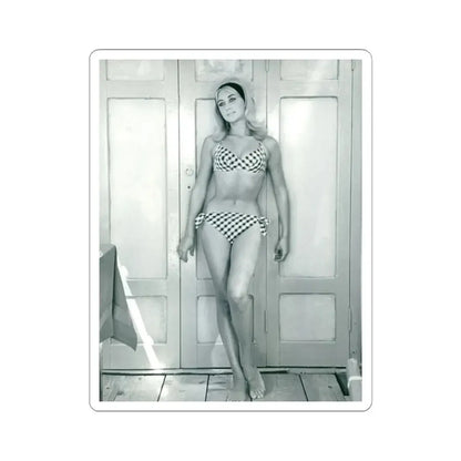 Linda Gaye Scott #01 (Vintage Female Icon) STICKER Vinyl Kiss-Cut Decal 4 Inch White - The Sticker Space