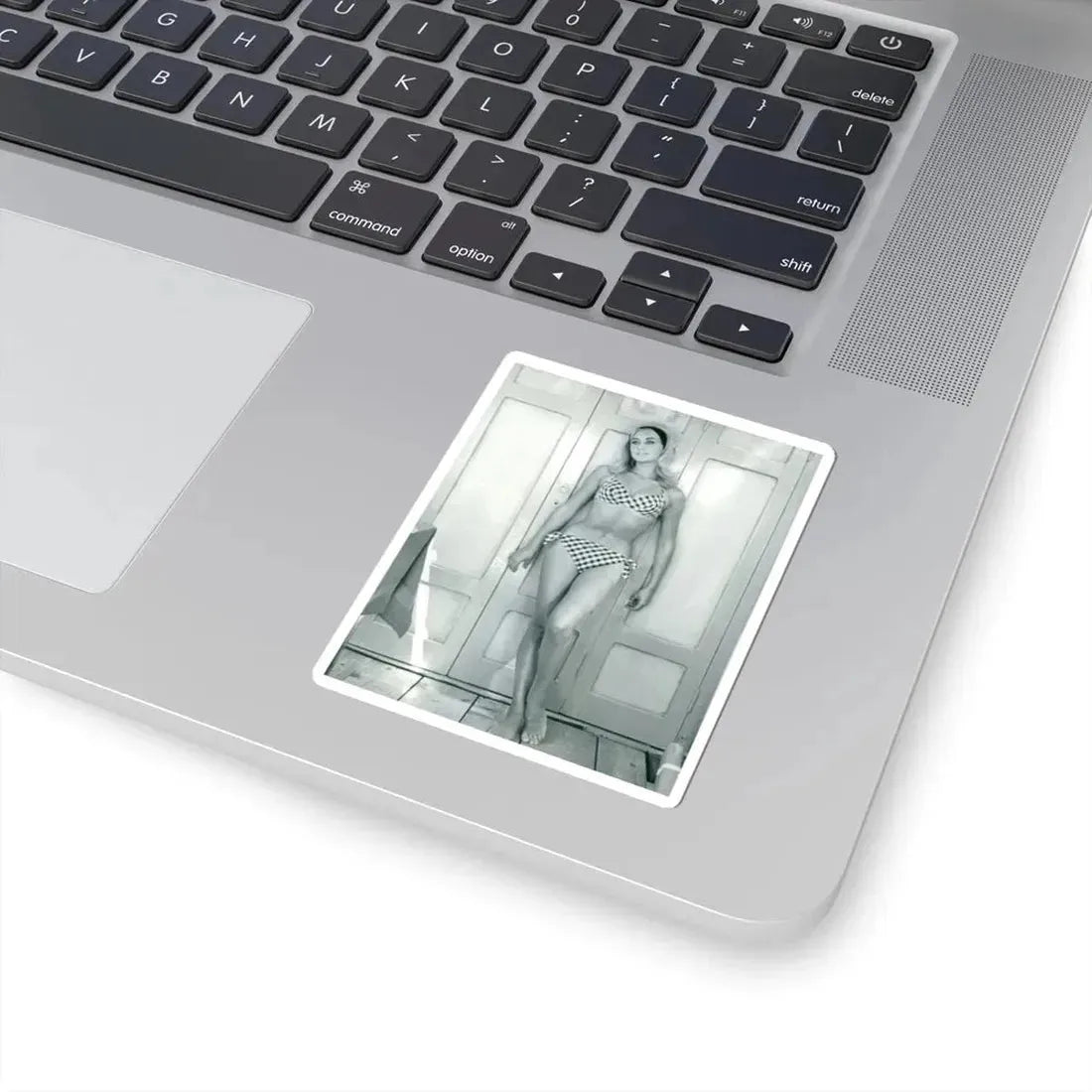 Linda Gaye Scott #01 (Vintage Female Icon) STICKER Vinyl Kiss-Cut Decal - The Sticker Space