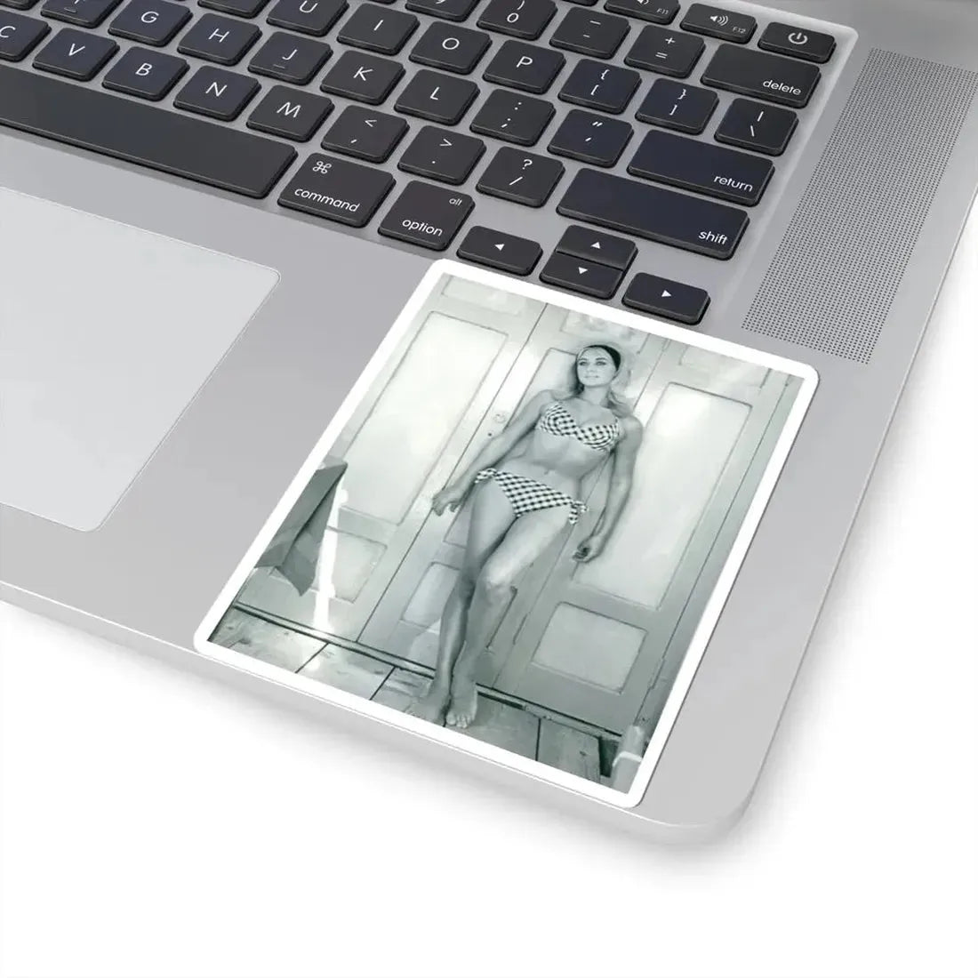 Linda Gaye Scott #01 (Vintage Female Icon) STICKER Vinyl Kiss-Cut Decal - The Sticker Space