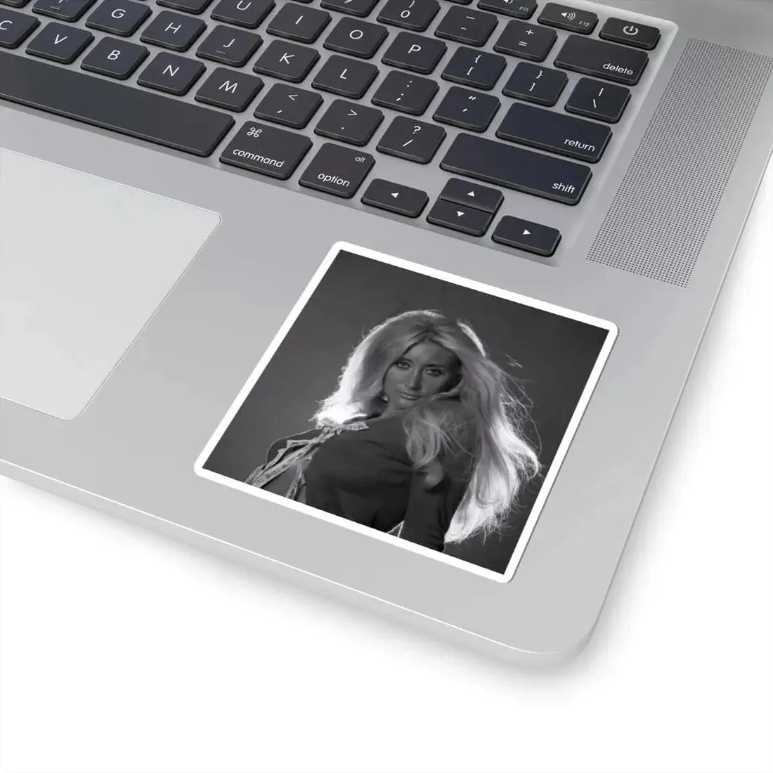 Linda Gaye Scott #03 (Vintage Female Icon) STICKER Vinyl Kiss-Cut Decal - The Sticker Space