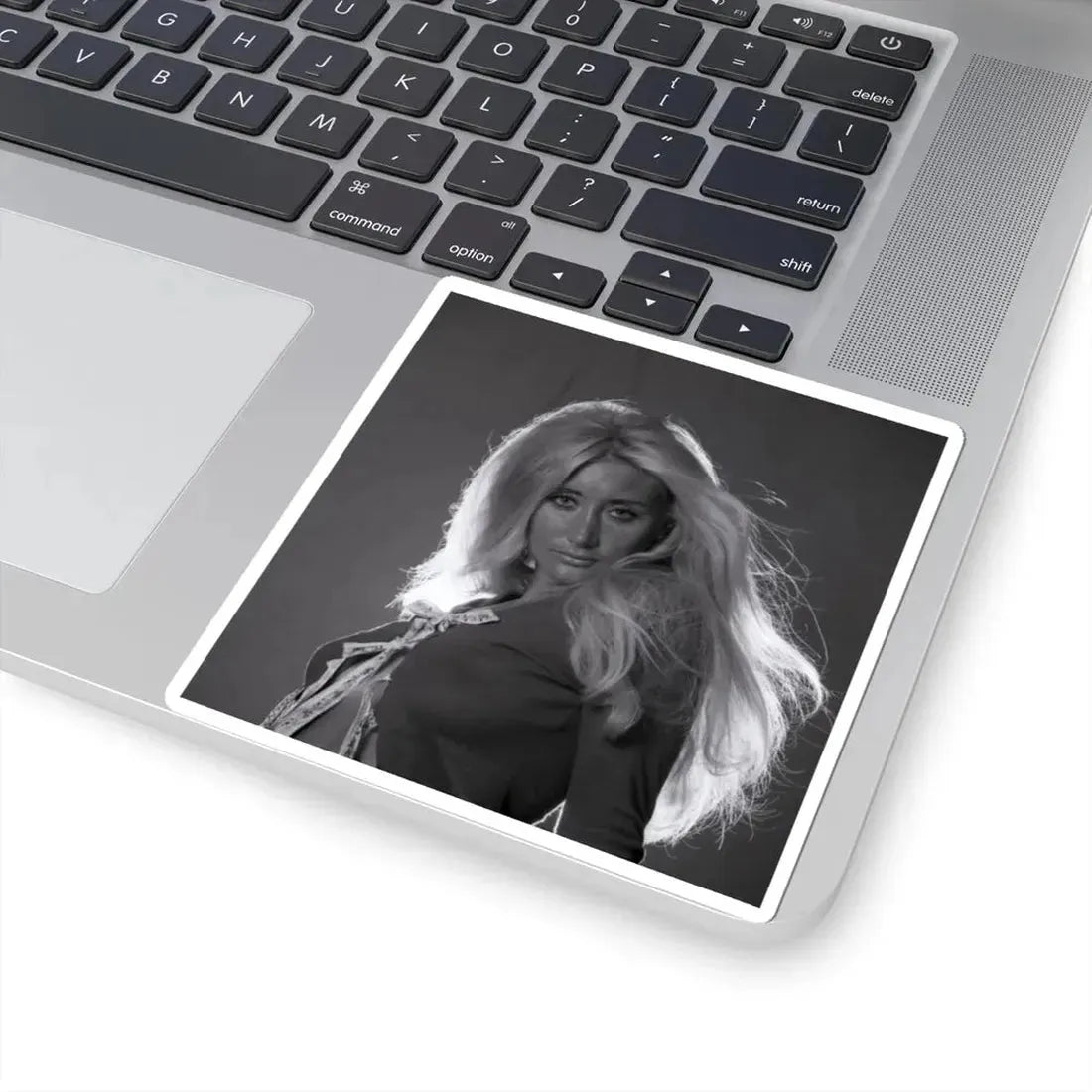 Linda Gaye Scott #03 (Vintage Female Icon) STICKER Vinyl Kiss-Cut Decal - The Sticker Space